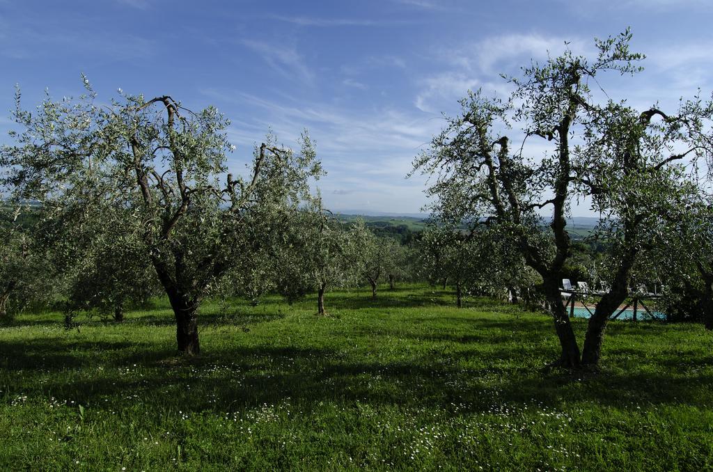 Agriturismo Poggio Bonelli Castelnuovo Berardenga Exterior foto