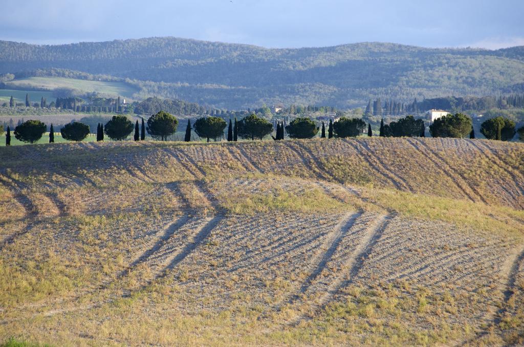 Agriturismo Poggio Bonelli Castelnuovo Berardenga Exterior foto